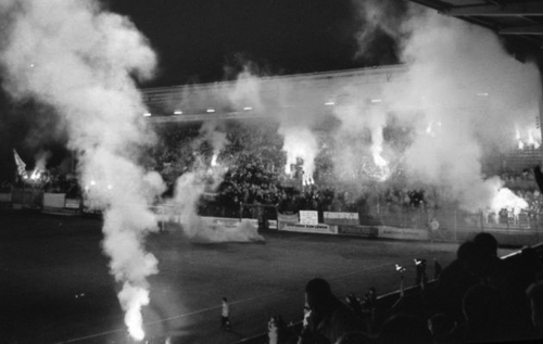 Bengalos1994
